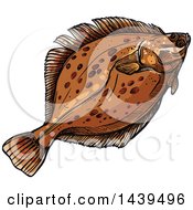 Clipart Of A Sketched And Colored Flounder Fish Royalty Free Vector Illustration by Vector Tradition SM