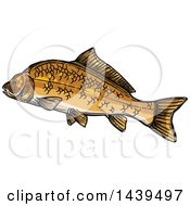 Poster, Art Print Of Sketched And Colored Carp Fish