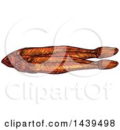 Clipart Of Sketched Dried Fish Anchovies Royalty Free Vector Illustration