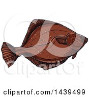Poster, Art Print Of Sketched And Colored Flounder Fish