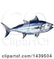 Poster, Art Print Of Sketched And Colored Tuna Fish