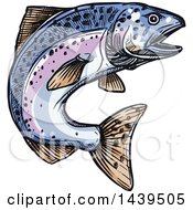 Poster, Art Print Of Sketched And Colored Jumping Salmon Fish