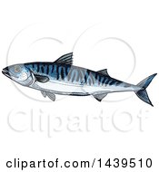 Poster, Art Print Of Sketched And Colored Mackerel Fish