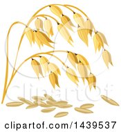 Poster, Art Print Of Oats And Stalks