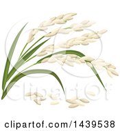Poster, Art Print Of Rice And Stalks