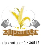 Clipart Of Rye And Watering Cans Over A Banner Royalty Free Vector Illustration