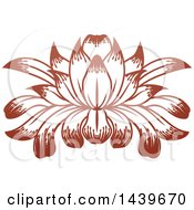 Poster, Art Print Of Beautiful Brown Water Lily Lotus Flower