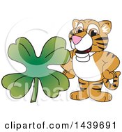 Tiger Cub School Mascot Character With A St Patricks Day Clover