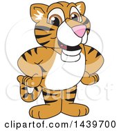 Tiger Cub School Mascot Character