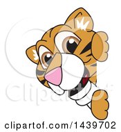 Tiger Cub School Mascot Character Looking Around A Sign