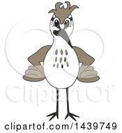 Clipart Of A Sandpiper Bird School Mascot Character Royalty Free Vector Illustration by Mascot Junction