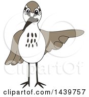 Clipart Of A Sandpiper Bird School Mascot Character Pointing Royalty Free Vector Illustration by Mascot Junction