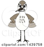 Clipart Of A Sandpiper Bird School Mascot Character With Hands On His Hips Royalty Free Vector Illustration
