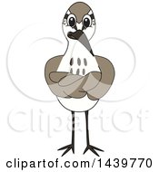 Clipart Of A Sandpiper Bird School Mascot Character With Folded Arms Royalty Free Vector Illustration by Mascot Junction