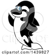 Clipart Of A Killer Whale Orca School Mascot Character Presenting Or Waving Royalty Free Vector Illustration