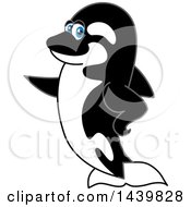 Clipart Of A Killer Whale Orca School Mascot Character Pointing Royalty Free Vector Illustration