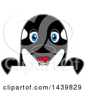 Clipart Of A Killer Whale Orca School Mascot Character Looking Over A Sign Royalty Free Vector Illustration