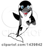 Clipart Of A Killer Whale Orca School Mascot Character Holding A Tooth Royalty Free Vector Illustration