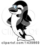 Clipart Of A Killer Whale Orca School Mascot Character With Fins On His Hips Royalty Free Vector Illustration