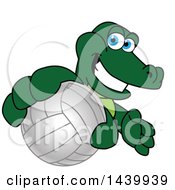 Gator School Mascot Character Grabbing A Volleyball