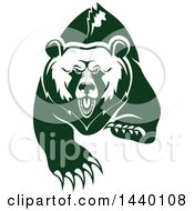 Poster, Art Print Of White And Green Running Angry Grizzly Bear