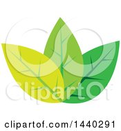 Poster, Art Print Of Trio Of Green Leaves
