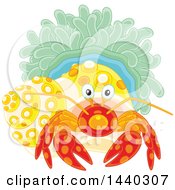 Clipart Of A Hermit Crab And Anemone Royalty Free Vector Illustration