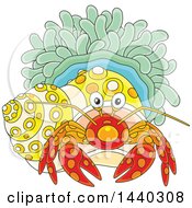 Cartoon Hermit Crab And Anemone