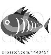 Poster, Art Print Of Gray White And Black Marine Fish