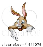 Clipart Of A Happy Brown Bunny Rabbit Pointing Down Over A Sign Royalty Free Vector Illustration