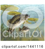 Poster, Art Print Of Black Bass Green Trout Bigmouth Bass Lineside Bass Largemouth Bass Micropterus Salmoides