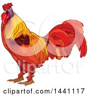 Poster, Art Print Of Colorful Rooster