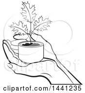 Poster, Art Print Of Black And White Hand Holding A Seedling Maple Plant