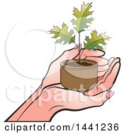 Clipart Of A Hand Holding A Seedling Maple Plant Royalty Free Vector Illustration