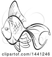 Poster, Art Print Of Black And White Lineart Fancy Goldfish