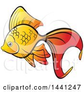 Poster, Art Print Of Fancy Goldfish