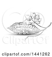 Clipart Of A Black And White Bitter Gourd Melon And Leaf Royalty Free Vector Illustration by Lal Perera