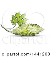 Poster, Art Print Of Bitter Gourd Melon And Leaf