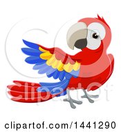 Poster, Art Print Of Scarlet Macaw Parrot Presenting