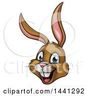 Poster, Art Print Of Cartoon Happy Brown Easter Bunny Rabbit Face