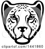Poster, Art Print Of Black And White Leopard Or Cheetah Face