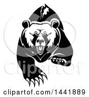 Poster, Art Print Of Black And White Running Angry Grizzly Bear