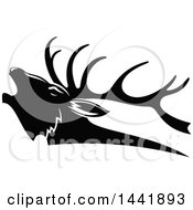 Black And White Elk Head In Profile