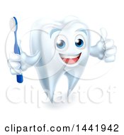 Poster, Art Print Of Happy White Tooth Mascot Holding A Toothbrush And Giving A Thumb Up