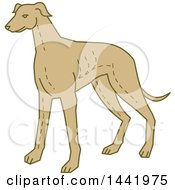 Poster, Art Print Of Mono Line Styled Standing Greyhound Dog