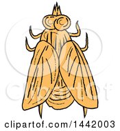 Clipart Of A Sketched Top View Of A House Fly Royalty Free Vector Illustration