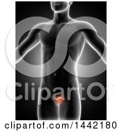 Clipart Of A 3d Xray Man With Highlighted Red Prostate On Black Royalty Free Illustration