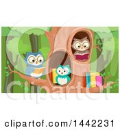 Poster, Art Print Of Group Of Owls Reading In A Tree