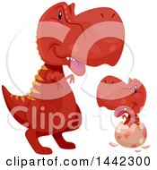 Clipart Of A Tyrannosaurus Rex Dinosaur Watching A Baby Hatch Royalty Free Vector Illustration by BNP Design Studio