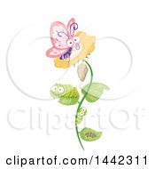 Poster, Art Print Of Cocoon Larvae Caterpillars And Butterfly On A Flower The Life Cycle Of A Butterfly
